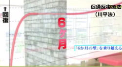 促通反復療法（川平法）：回復曲線