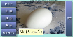 絵カードを使った言語訓練：株式会社ロボキュア、千葉大学、君津中央病院